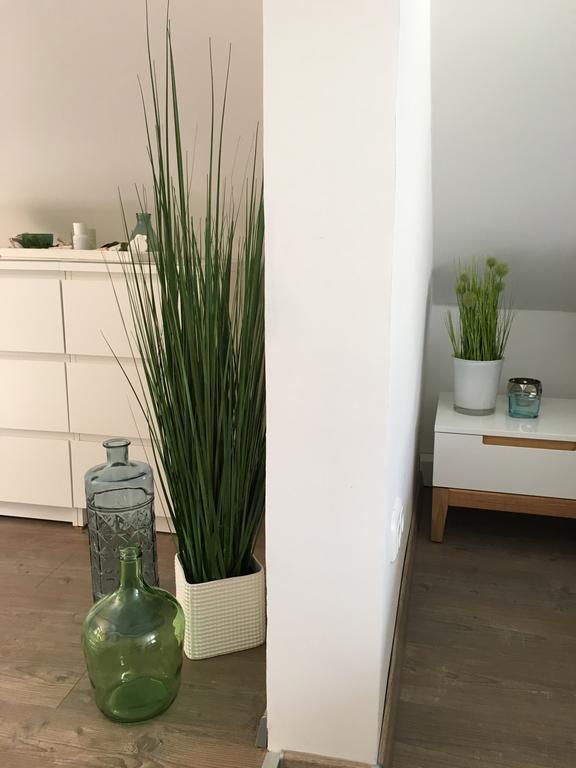 Ferienhaus Zur Mainpforte Μάιντς Εξωτερικό φωτογραφία