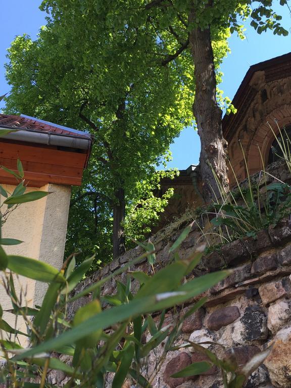 Ferienhaus Zur Mainpforte Μάιντς Εξωτερικό φωτογραφία
